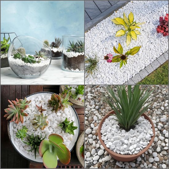 Fizdoqg Decoratieve stenen 900 g witte decoratieve stenen voor vazen, sierstenen, kleine decoratieve stenen, decoratieve stenen voor bloempot, aquarium, vetplanten, landschapsarchitectuur, huis en