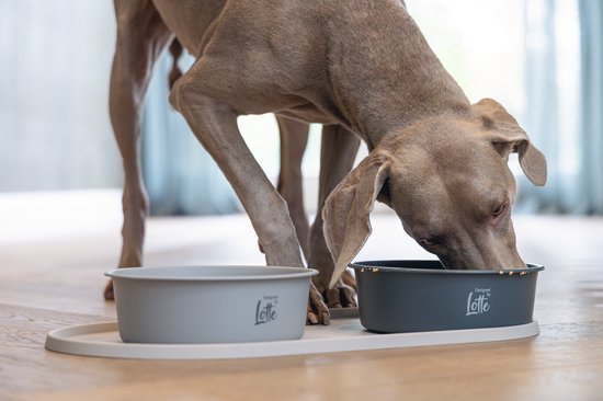 Weimaraner eet uit grijze en donkergrijze voerbakken op een beige placemat.