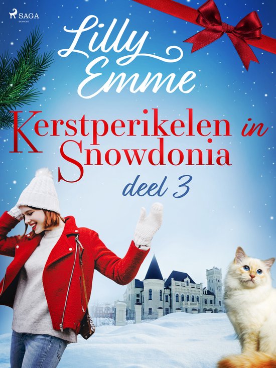 Snowdonia 3 - Kerstperikelen in Snowdonia – deel 3 - cover