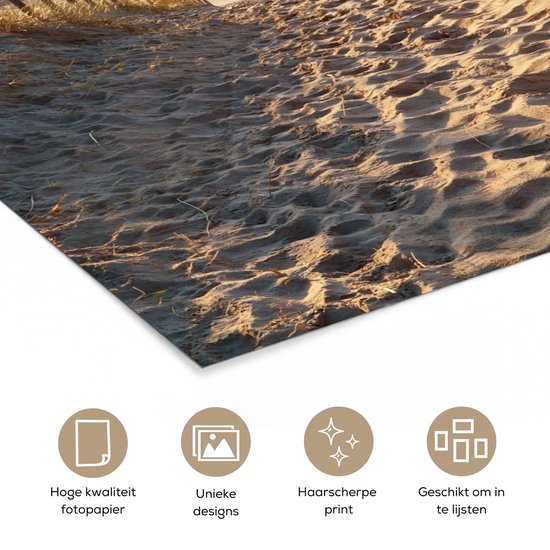 Affiche Plage - Mer - Pays- Nederland - Dunes - Soleil - 30x40 cm