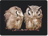 Muismat - Mousepad - Uil - Vogel - Zwart - 23x19 cm - Muismatten