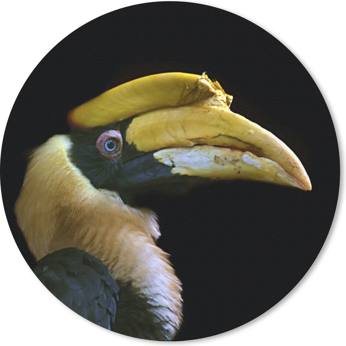 Muismat rond 40x40 cm - Mousepad Vogel - Snavel - Zwart - Ronde muismatten