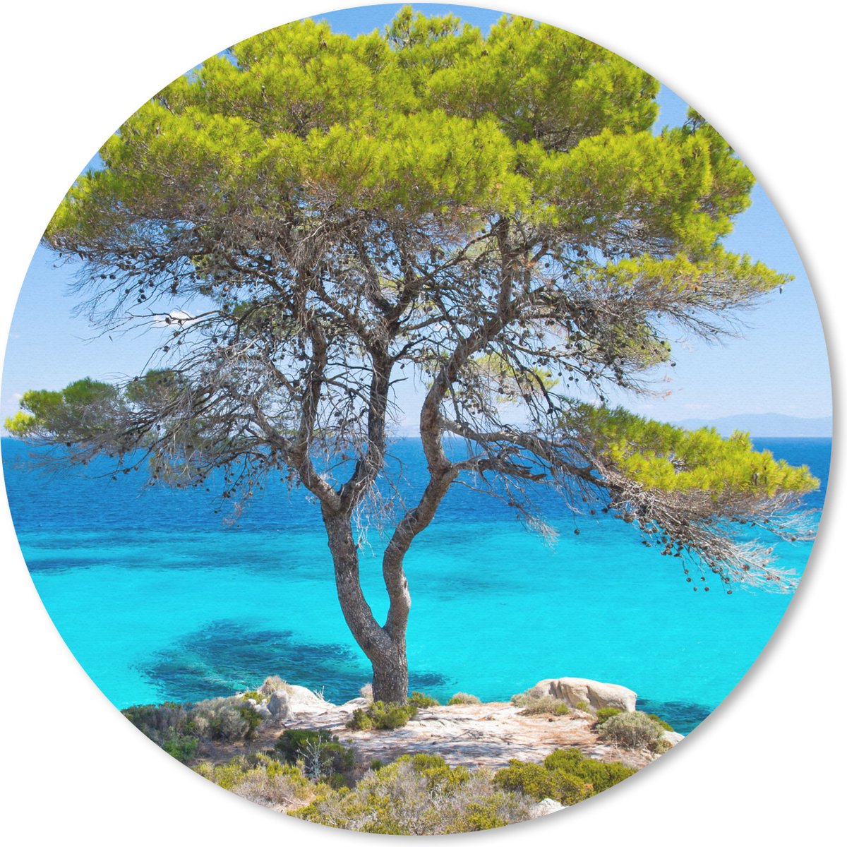 Muismat rond 50x50 cm - Mousepad Boom - Zee - Tropisch - Zomer - Ronde muismatten