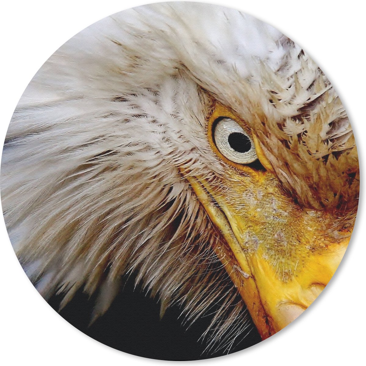 Muismat rond 50x50 cm - Mousepad Vogel - Oog - Snavel - Ronde muismatten