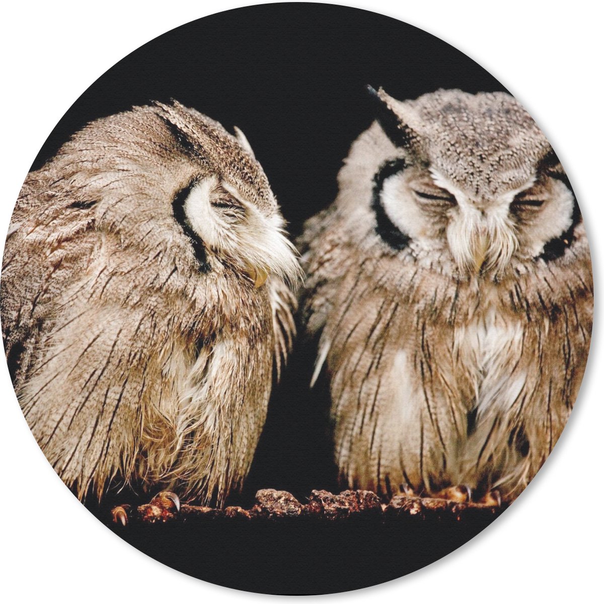 Muismat rond 40x40 cm - Mousepad Uil - Vogel - Zwart - Ronde muismatten