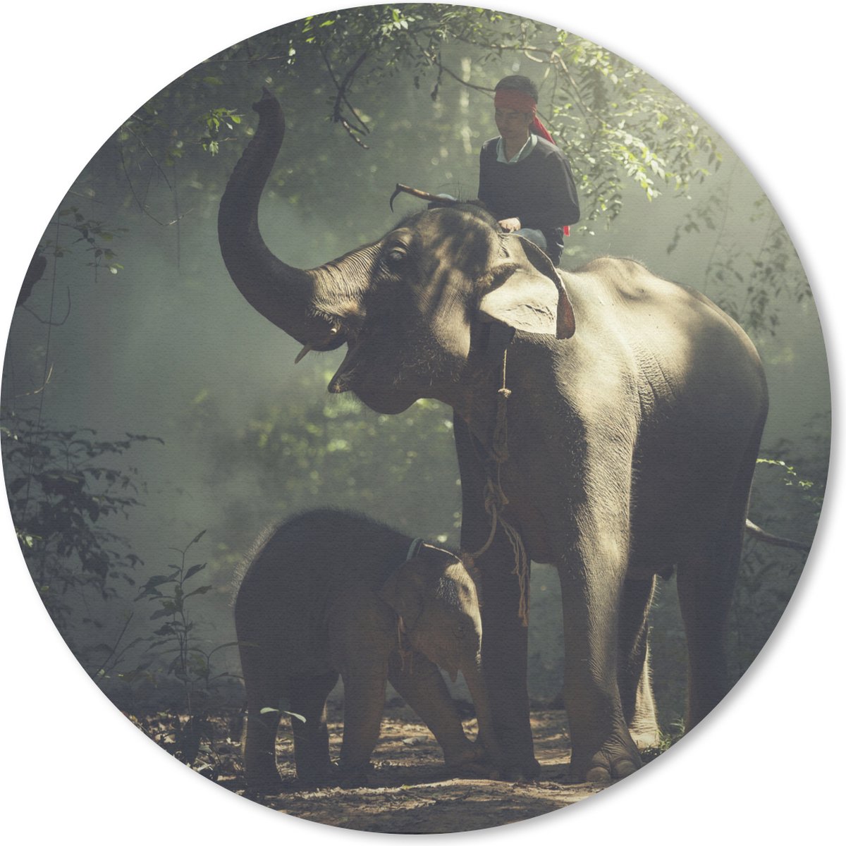 Muismat rond 20x20 cm - Mousepad Olifant - Bos - Bomen - Dieren - Trainer - Ronde muismatten