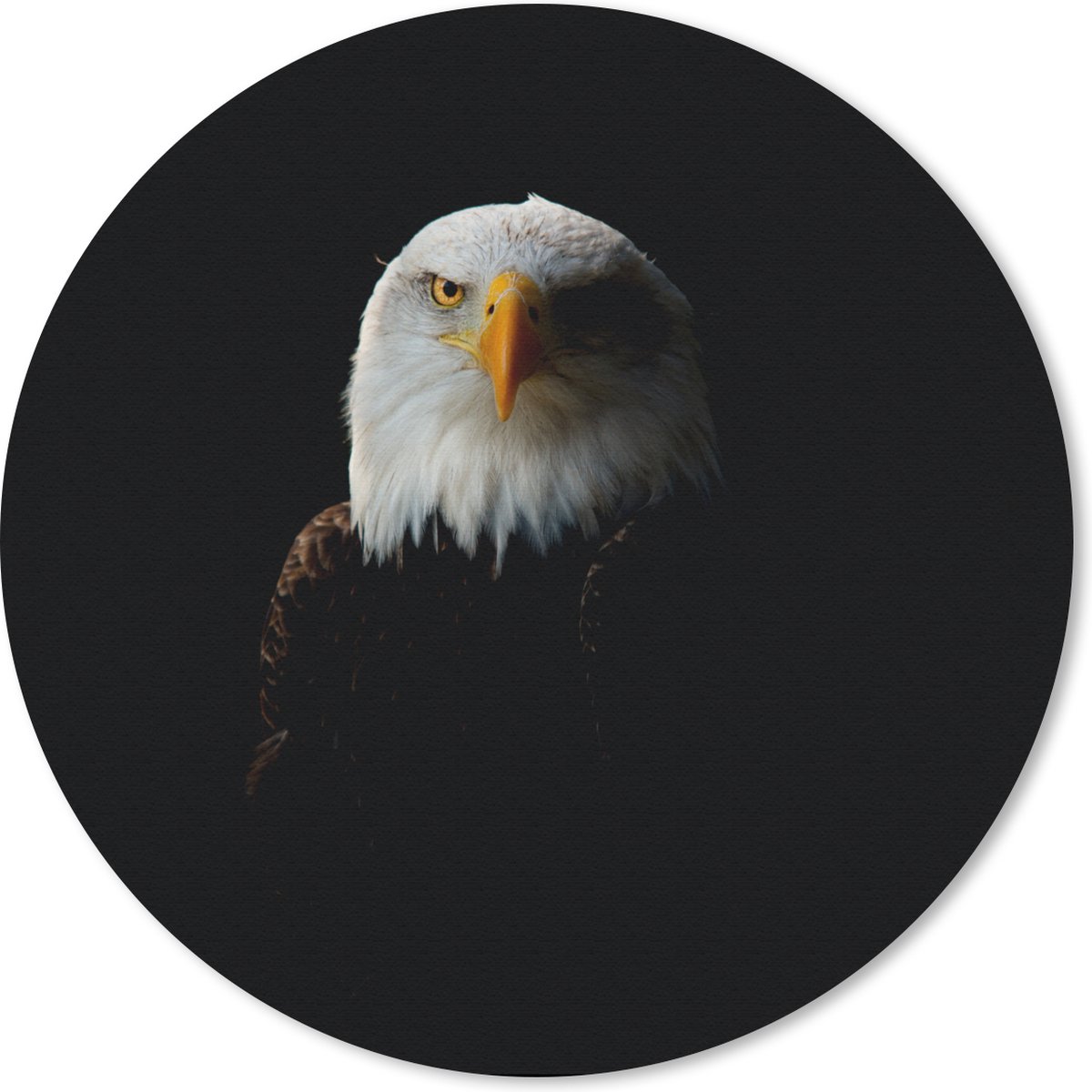 Muismat rond 40x40 cm - Mousepad Adelaar - Vogel - Zwart - Ronde muismatten