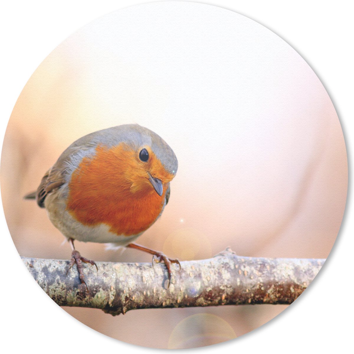 Muismat rond 30x30 cm - Mousepad Roodborst - Tak - Boom - Ronde muismatten