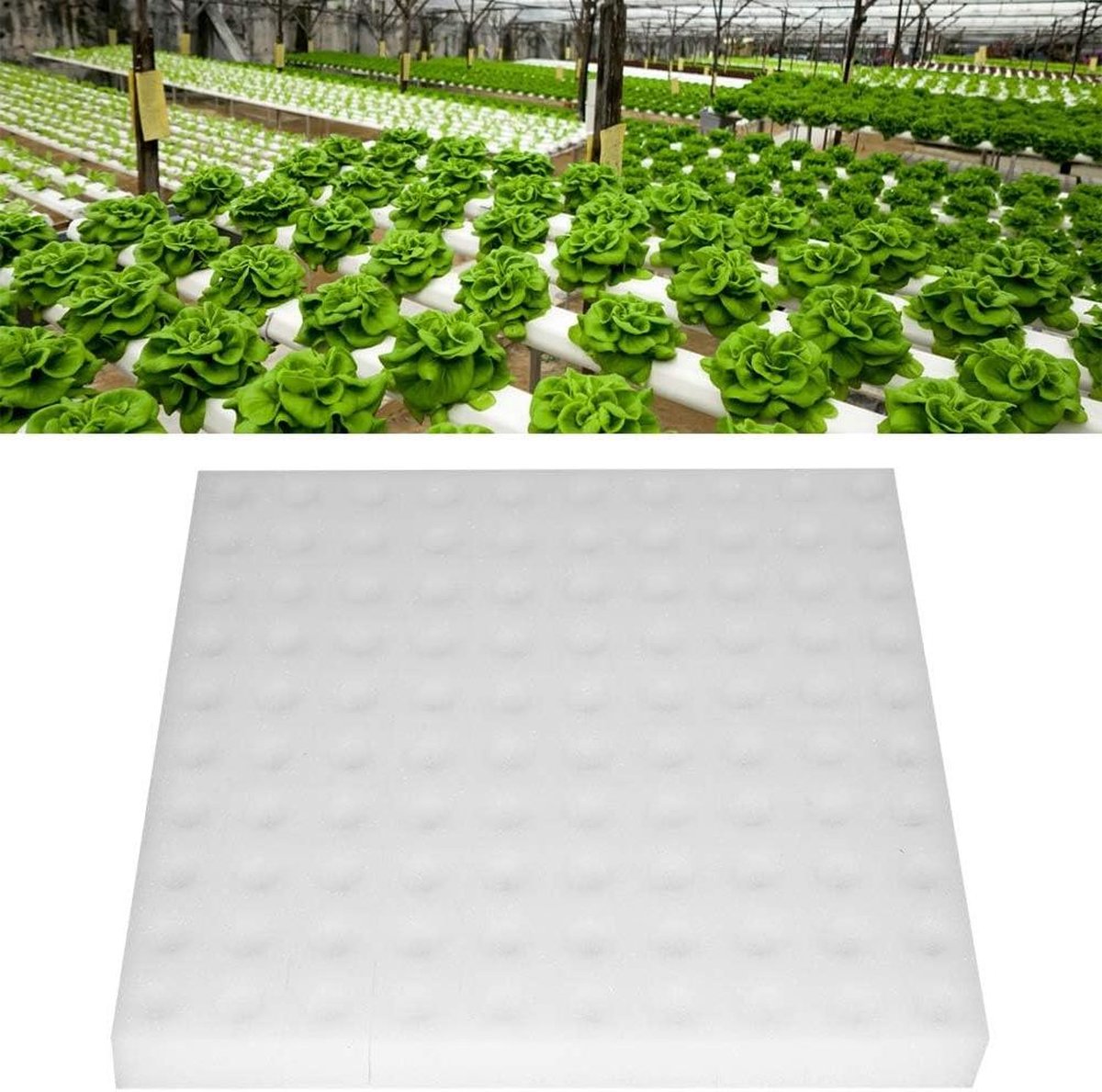 50 stuks hydrocultuur spons, turf plantblok vervanging groei sponzen wortel pluggen peulen kit zaailing starter sponzen voor hydrocultuur binnensysteem (C