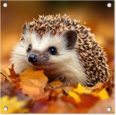 Tuinposter 50x50 cm - Tuindecoratie Egel - Bos - Herfstbladeren - Herfst - Bosdieren - Natuur - Poster voor in de tuin - Buiten decoratie - Schutting tuinschilderij - Tuindoek muurdecoratie - Wanddecoratie balkondoek
