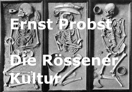 Die Rössener Kultur - cover