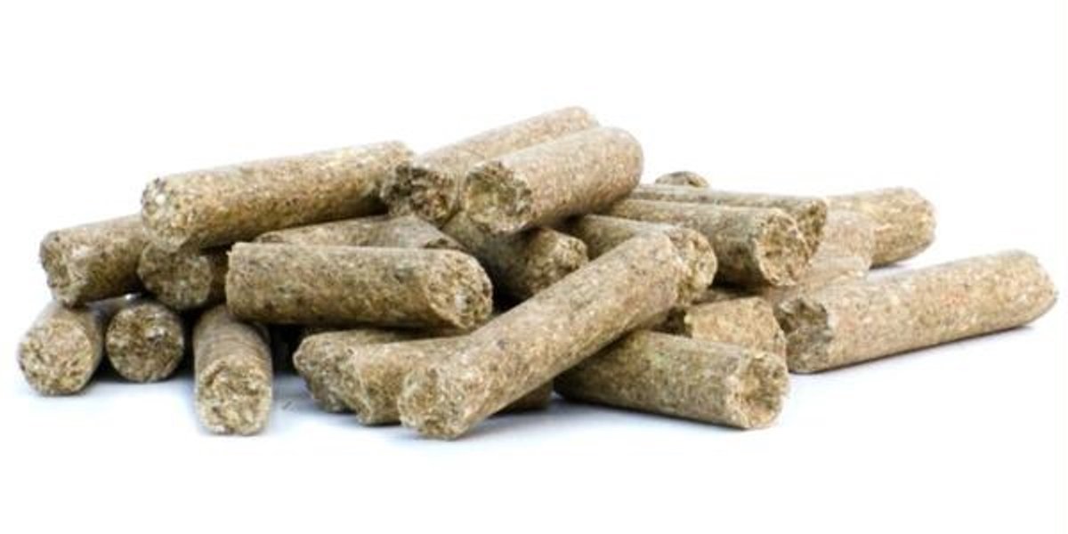 Horsefood Veulenbrok start 20 KG