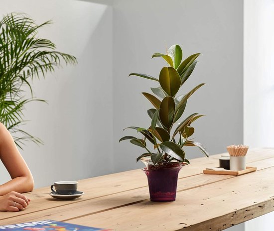 lamela bloempotten set van 3 plantenpot mica bloempot pot