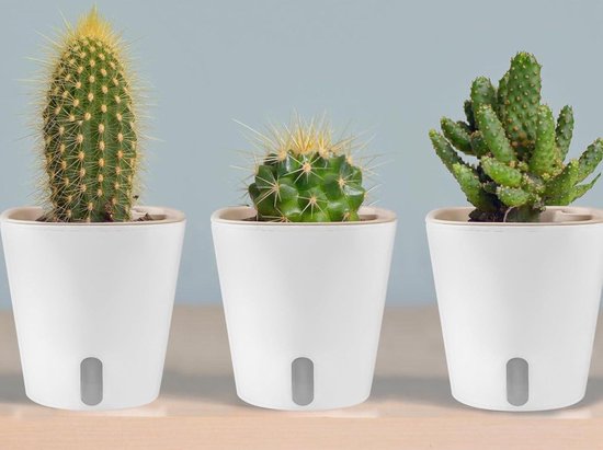 Santino Orchideeënpotten, set van 6, zelfbewaterende pot met waterlontsysteem en waterpeilindicator, voor gebruik binnenshuis, diameter 15 cm (paars, 2 liter