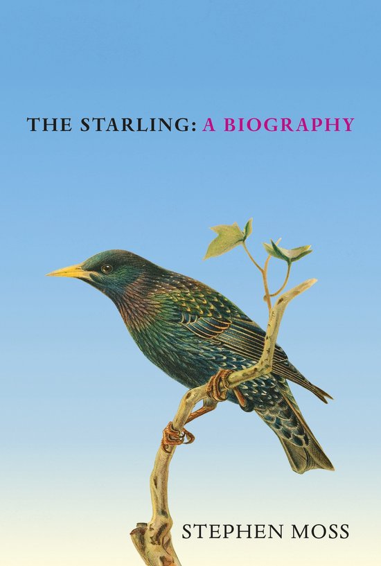 The Bird Biography Series - The Starling