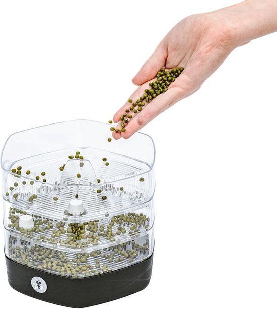 Kiemgroente, biologisch, tuinkers, 50 g online kopen?| Dille & Kamille