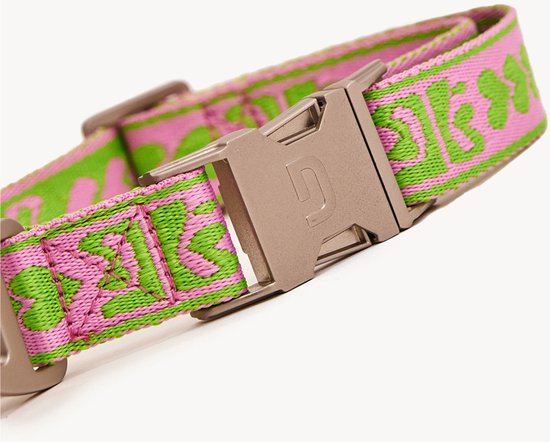 Collar Dogguo vert et rose - Collier pour chien - Petits Chiens