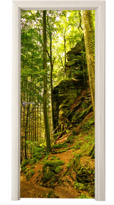 Sticker pour porte Arbres - Pierre - Forêt - Nature - Plantes - 90x205 cm - Affiche de porte