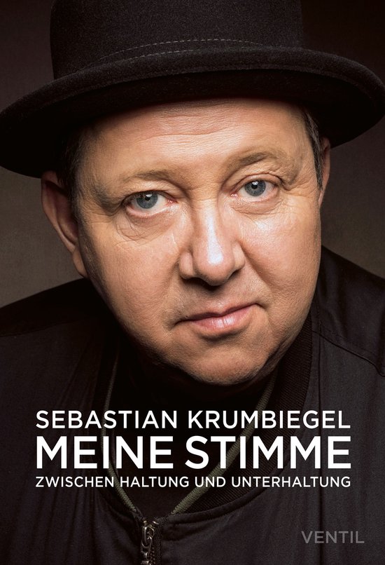 Meine Stimme - cover