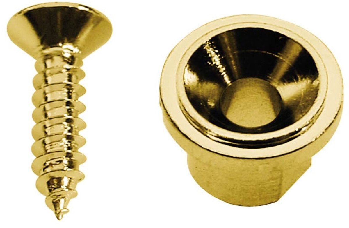 Boston SH-5-G Gouden Snaarretainer met Schroef (10mm)