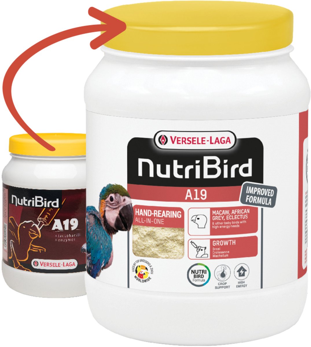 Versele-Laga Nutribird A19 Papegaai - Vogelvoer - 800 g