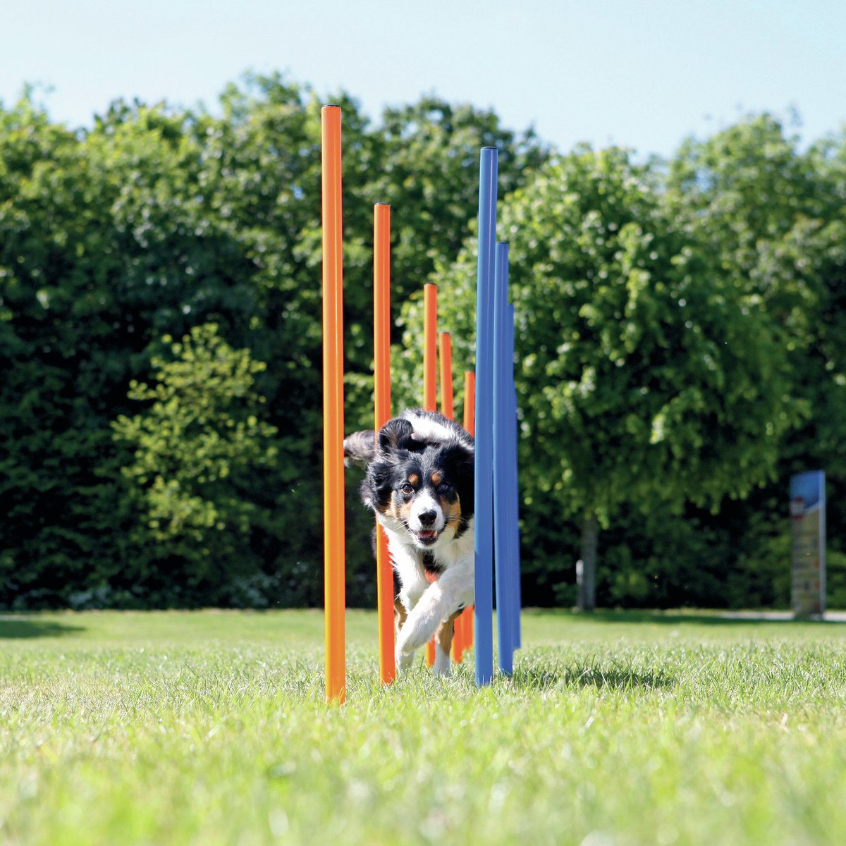 Trixie 3207 Dog Activity Agility Horde, kunststof, 123 × 115 cm, ø 3 cm, blauw/oranje Trixie 3207 Dog Activity Agility Horde, kunststof, 123 × 115 cm, ø 3 cm, blauw/oranje