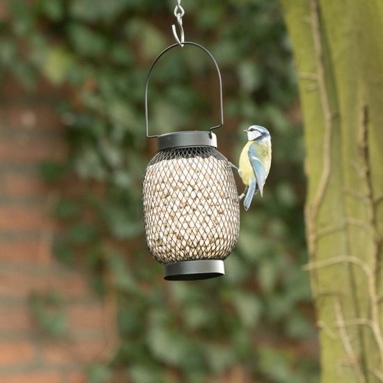 Roestvrije Pindasilo voor Vogels