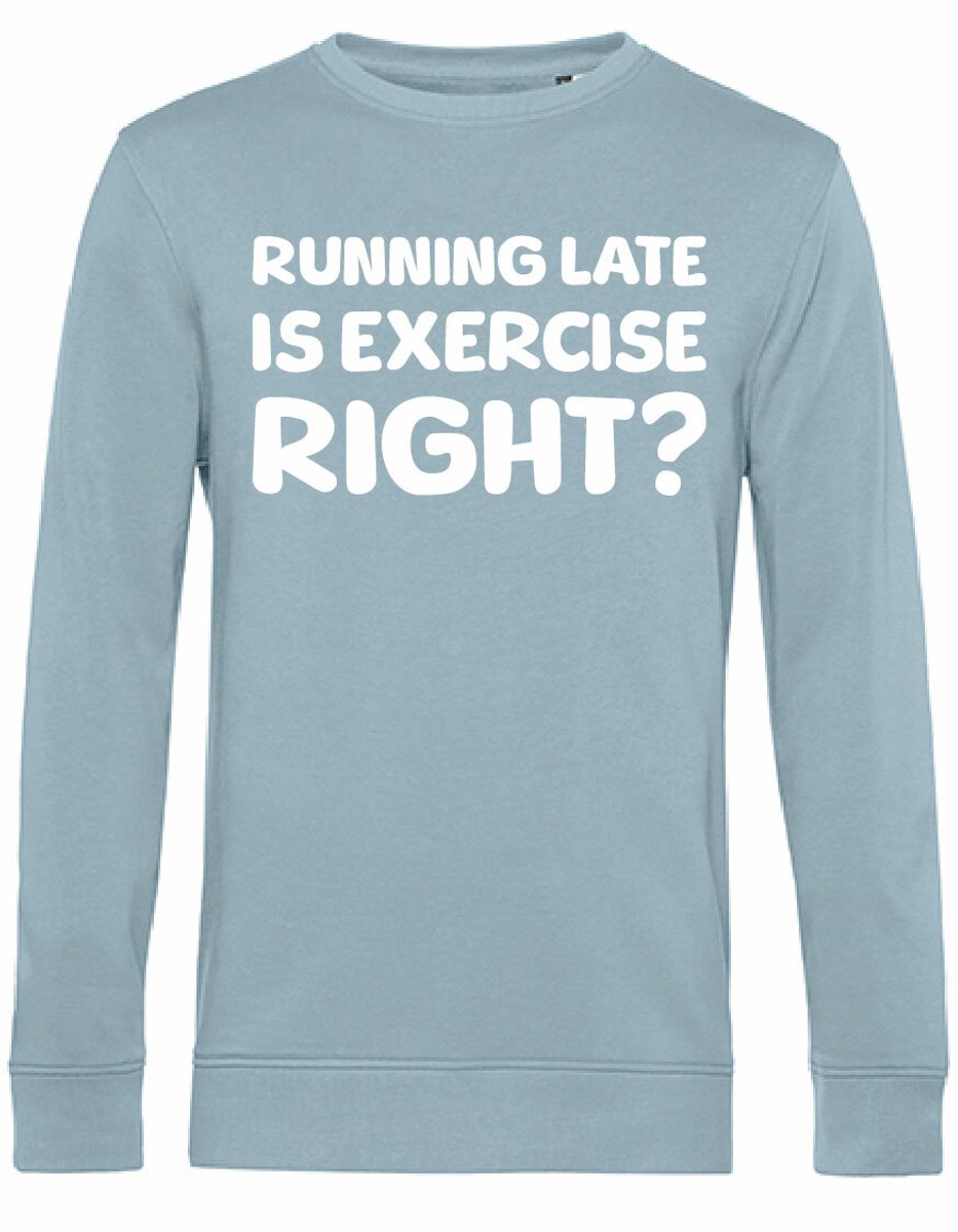 7431 - Sweater - Running late-Blue Fog-XL