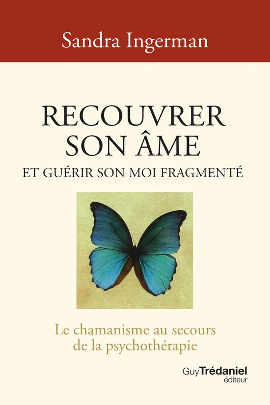 Couverture de livre avec le titre 'Recouvrer son âme et guérir son moi fragmenté'. Un papillon bleu est représenté au centre.