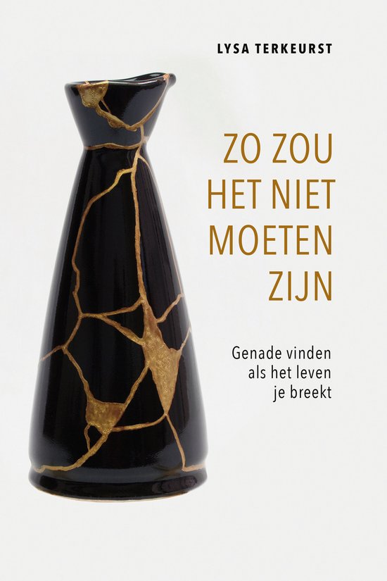 Zo zou het niet moeten zijn - cover