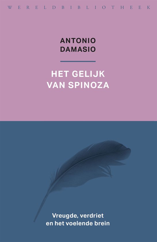 Het gelijk van Spinoza - cover
