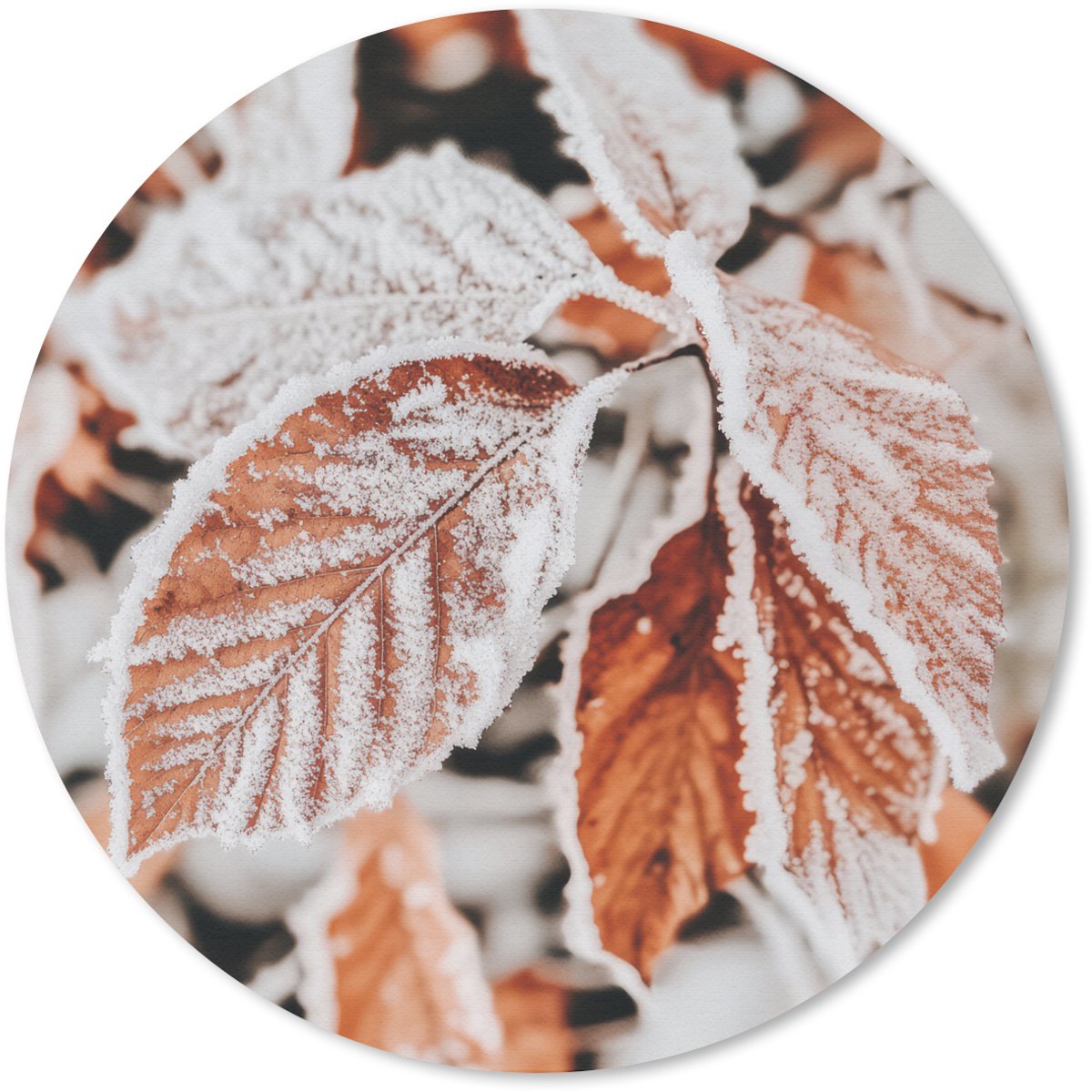 Muismat rond 20x20 cm - Mousepad Bladeren - IJs - Winter - Natuur - Ronde muismatten