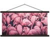 Flamingo, Roze