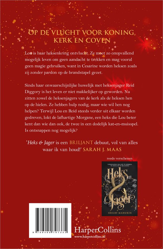 Achterkant van het boek 'Bloed & Honing' met tekst en een klein boekje met de titel 'Heks & Jager'.