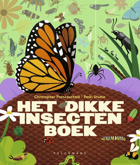 Het dikke insectenboek - cover