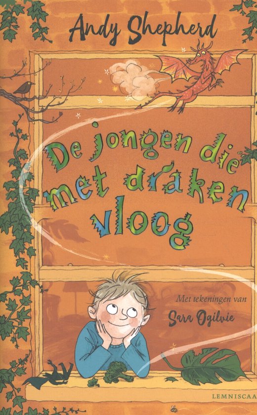 De jongen die met draken vloog - cover