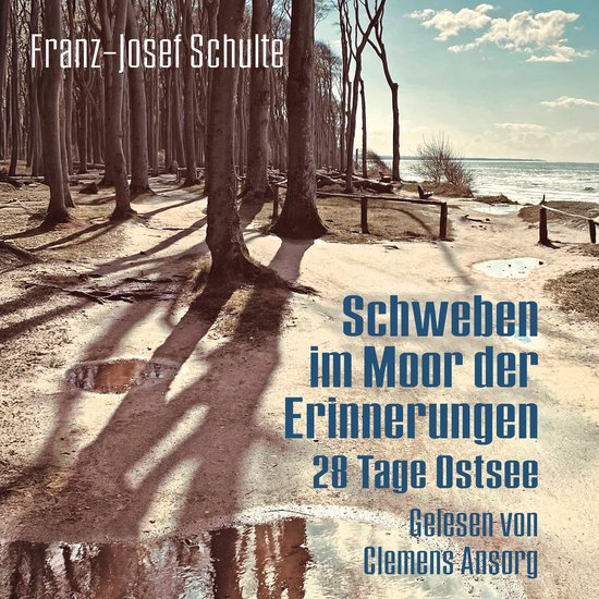 Schweben im Moor der Erinnerungen - cover