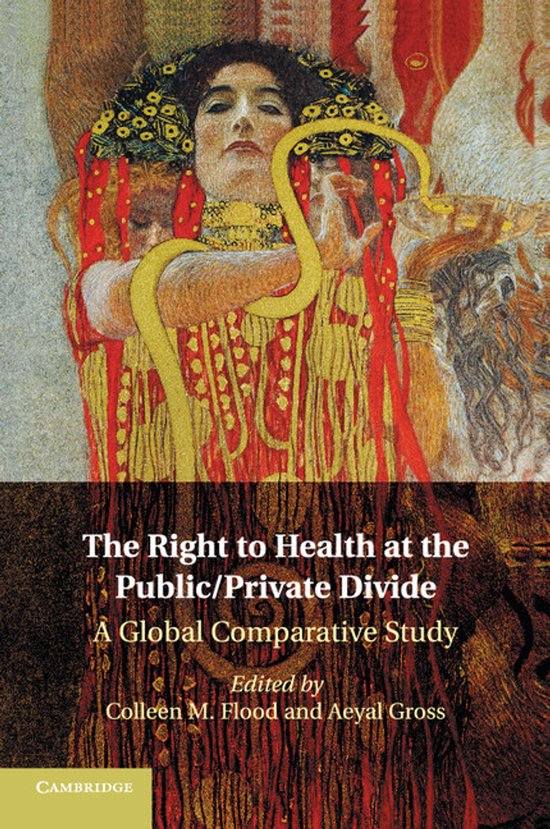 The Right to Health at the Public/Private Divide - cover