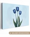 Tulipes, Bleu Tulipes, Bleu