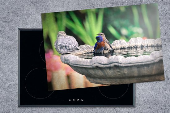 KitchenYeah® Inductie beschermer 76x51.5 cm - Vogel - Water - Fontein - Kookplaataccessoires - Afdekplaat voor kookplaat - Inductiebeschermer - Inductiemat - Inductieplaat mat