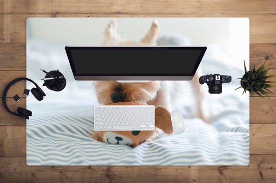 Muismat XXL 120x80 cm - Bureau onderlegger - Bureau mat De Yorkshire Terrier speelt met speelgoed - Bureaumat - Gaming mousepad xl - Bureaulegger groot - Computer deskmat