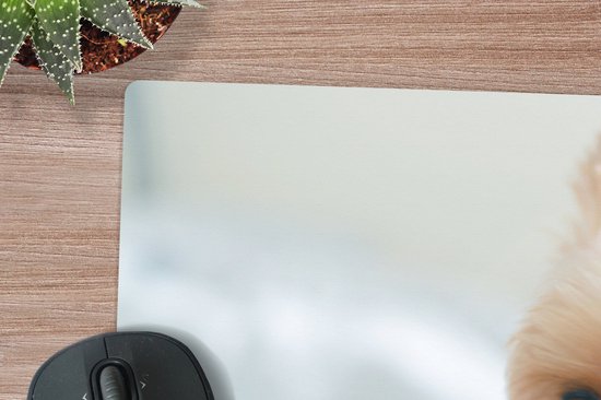 Muismat XXL 120x80 cm - Bureau onderlegger - Bureau mat De Yorkshire Terrier speelt met speelgoed - Bureaumat - Gaming mousepad xl - Bureaulegger groot - Computer deskmat