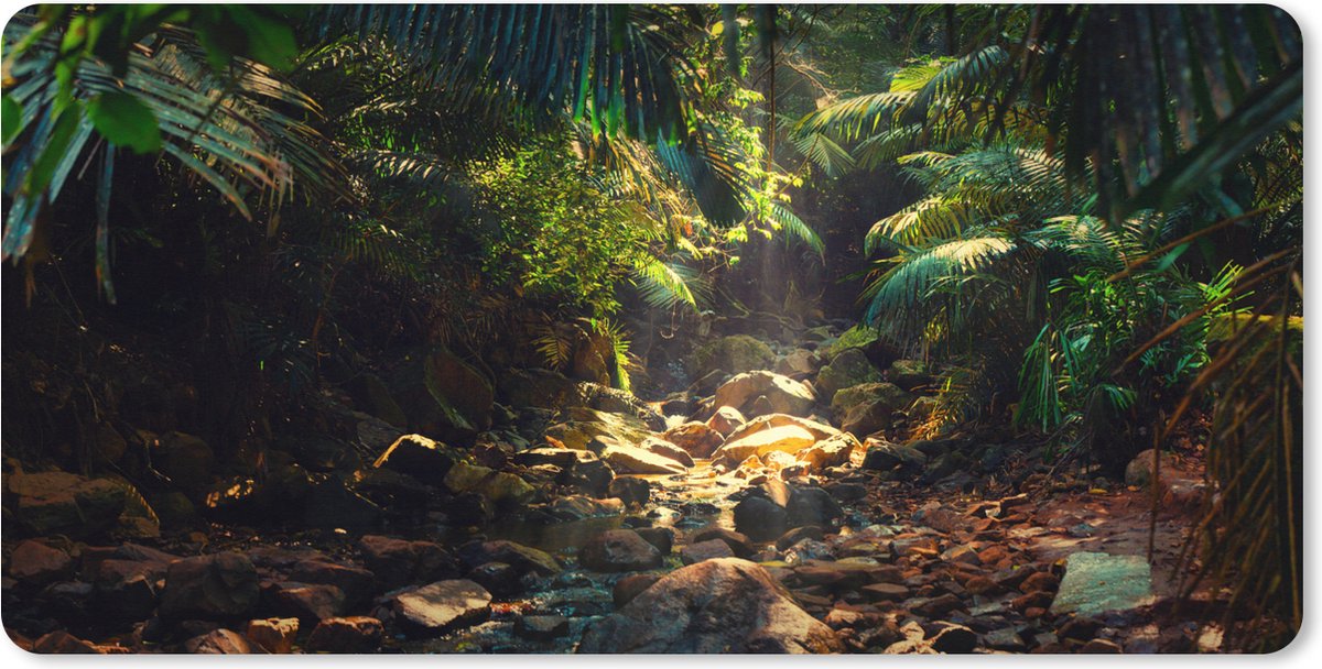 Muismat XXL 100x50 cm - Bureau onderlegger - Bureau mat Jungle - Zon - India - Jongens - Meisjes - Kinderen - Bureaumat - Gaming mousepad xl - Bureaulegger groot - Computer deskmat