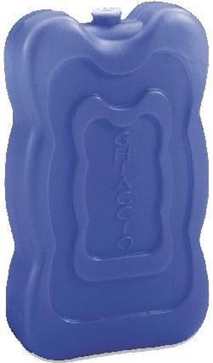 Set van 4x stuks grote koeltas/koelbox koelelementen blauw 350 gram 18 x 11 cm - Koel houd artikelen van Benson — afbeelding 2