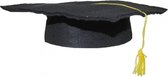 1x pcs Graduation Theme Hat For Kids - Dress Up Party Supplies