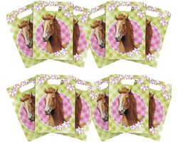Paarden themafeestje feestzakjes/uitdeelzakjes - 12x stuks - plastic - Paarden kinderfeestje snoepzakjes - 25 x 17 cm