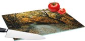 Glazen Snijplank - 39x28 - Bladeren - Herfst - Bos - Snijplanken Glas