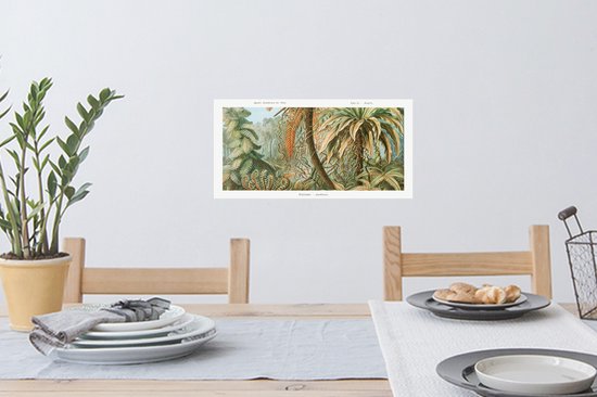 Stickers muraux Muraux - Filicinae - Vintage - Maîtres Anciens - Fougères - 40x20 cm - Film Adhésif