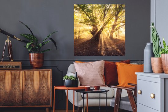 Stickers Stickers muraux - Arbre - Forêt - Soleil - 50x50 cm - Film adhésif