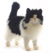 Hansa pluche Perzische kat zwart/wit 40 cm